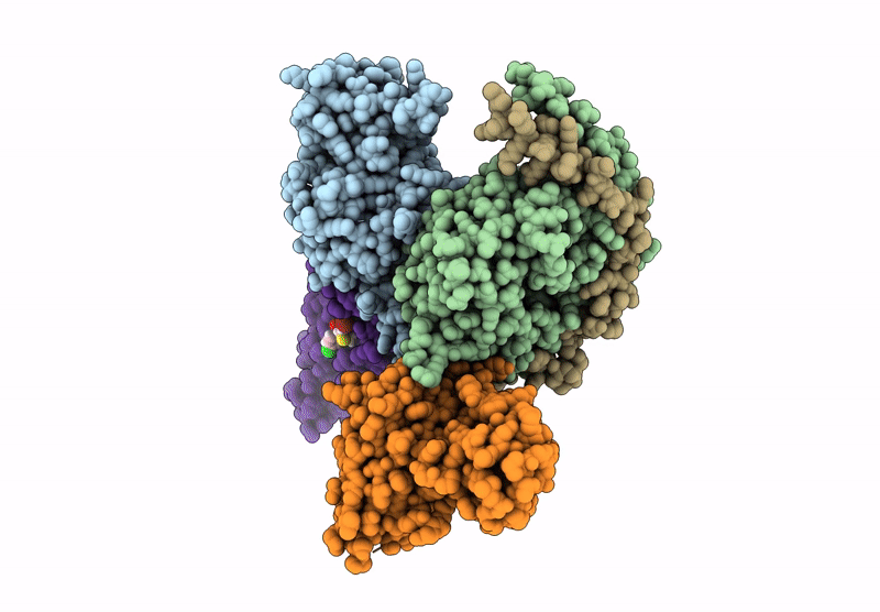 8Y72 image