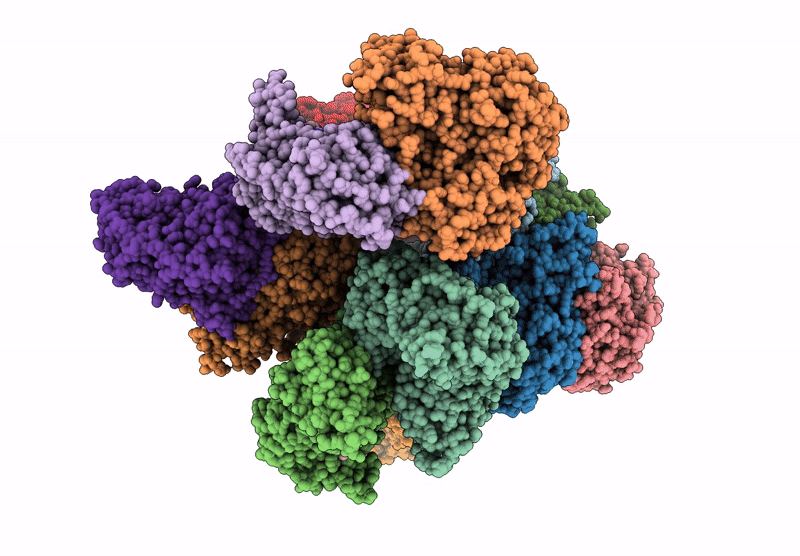 8Y7S image