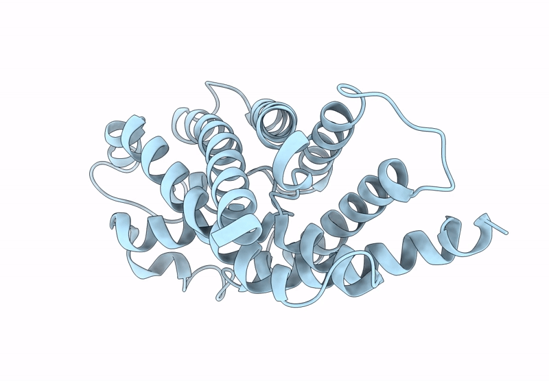 8Y8P image