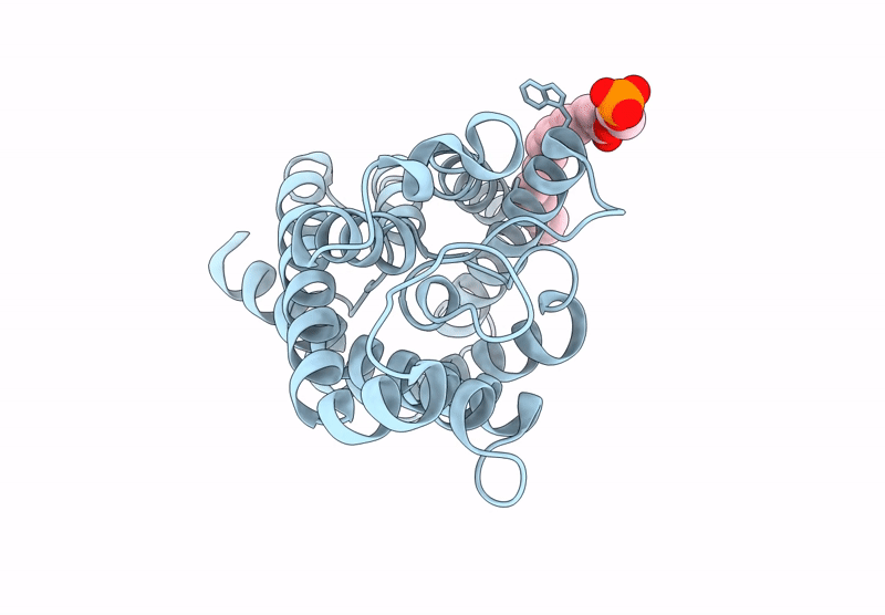8Y8V image