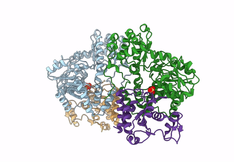 8Y96 image