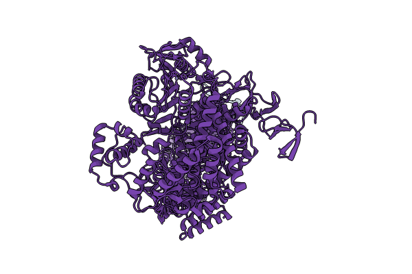 8Y9B image