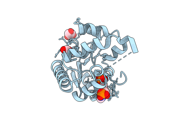 8Y9P image