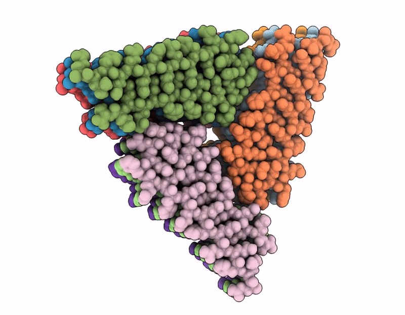 8YAC image