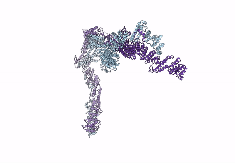 8YAD image