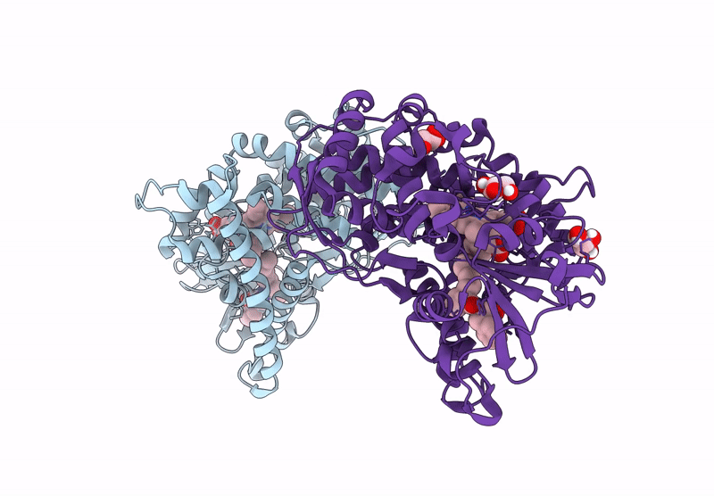 8YB1 image