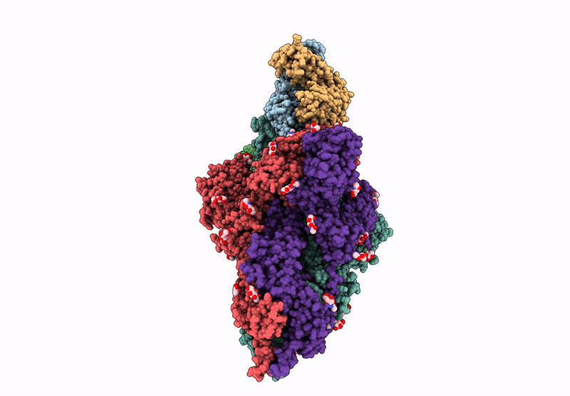 8YBS image