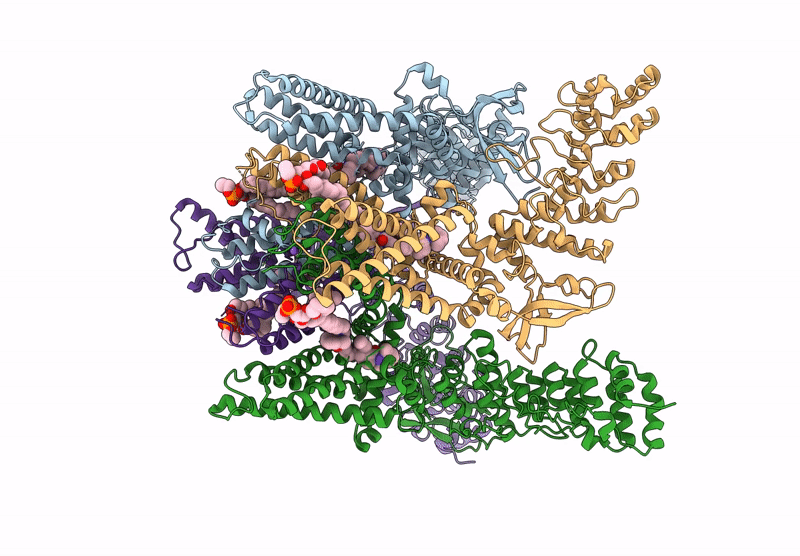 8YCP image