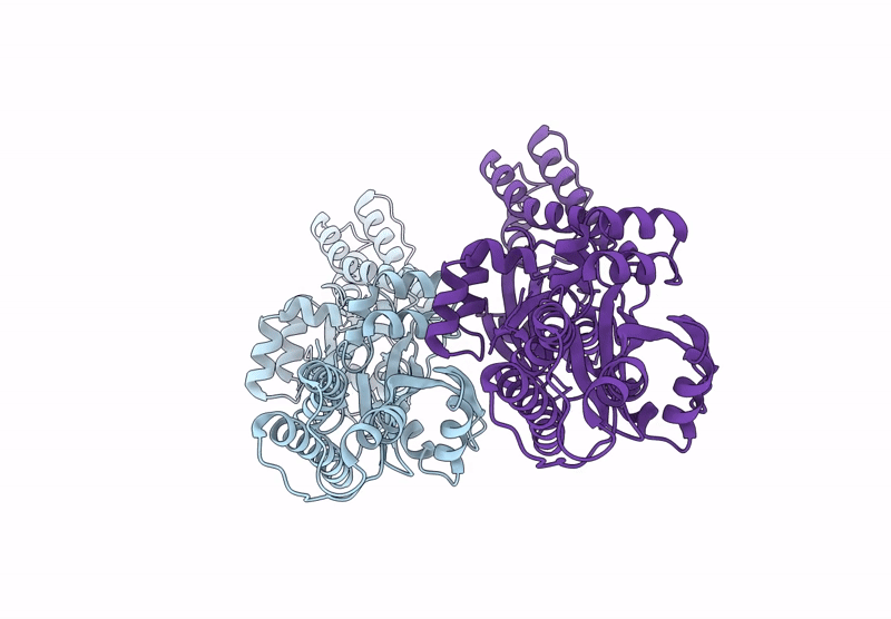 8YDL image