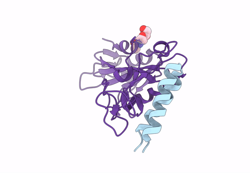 8YDR image