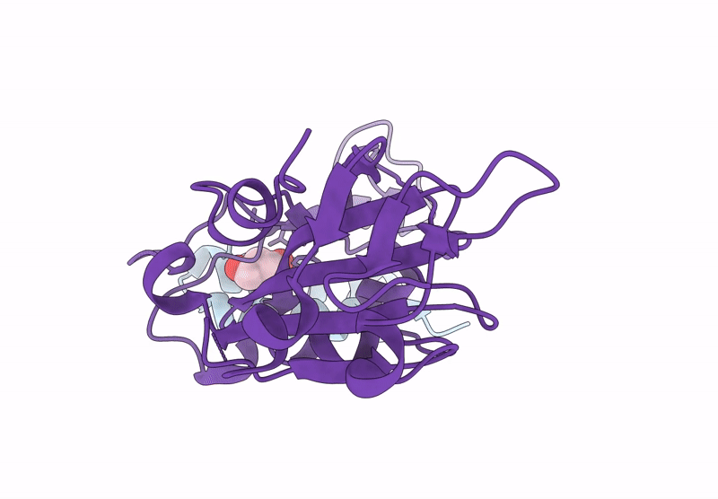 8YDU image