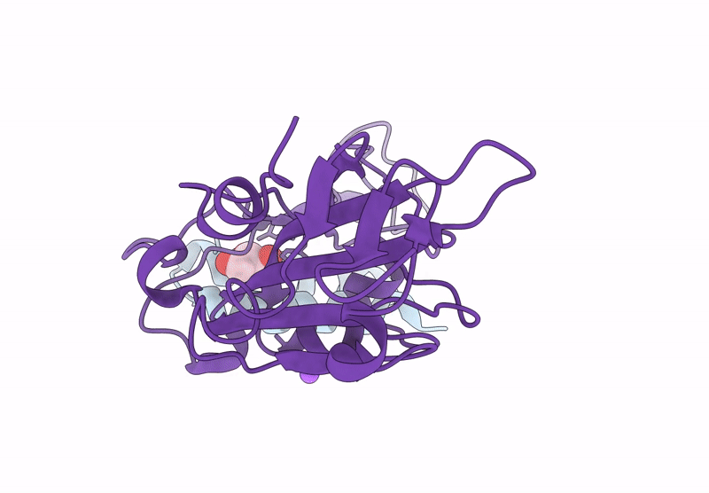 8YDW image