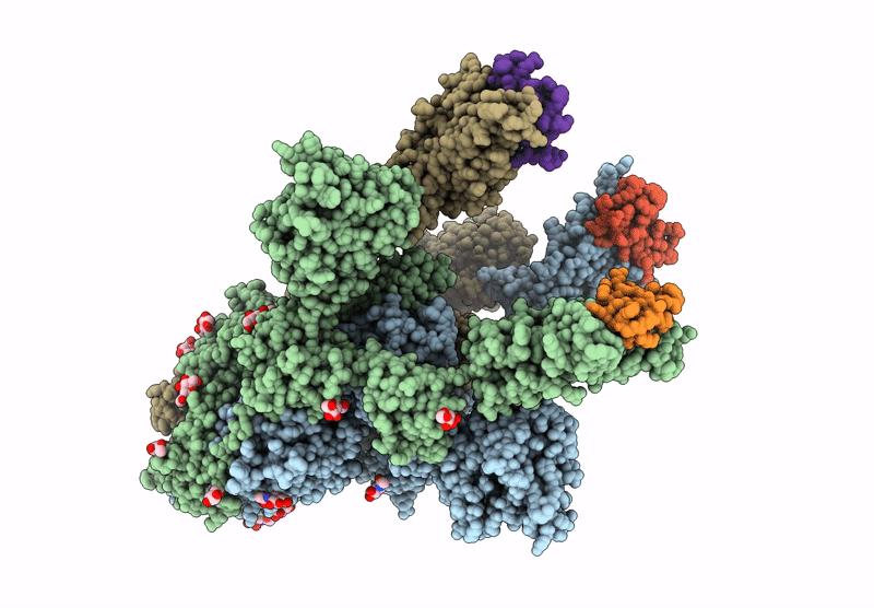 8YDZ image
