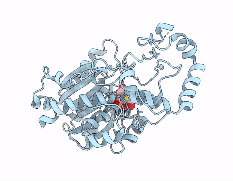8YF3 image