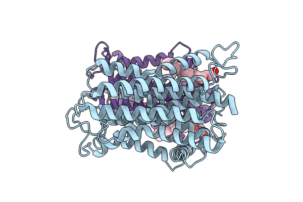 8YF4 image