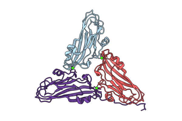 8YF6 image