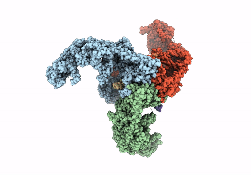 8YFG image