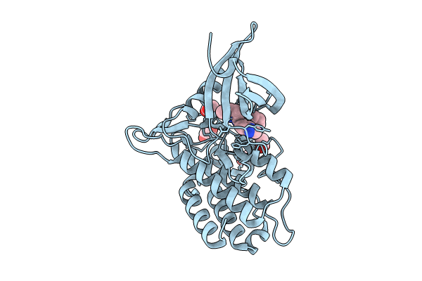 8YHL image