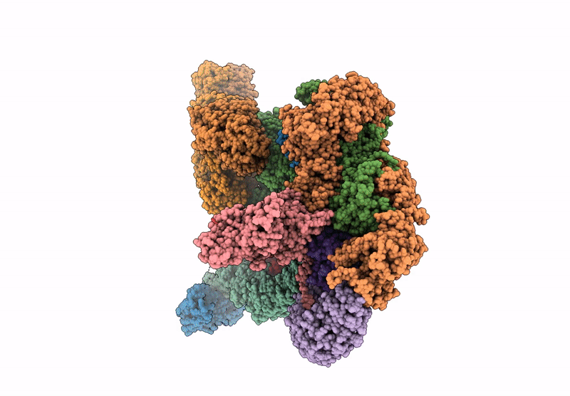 8YJB image