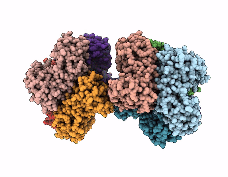 8YL2 image