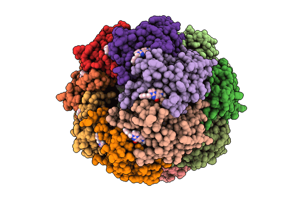 8YLB image
