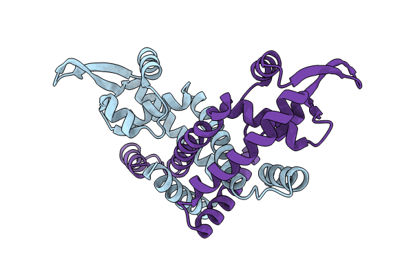 8YLH image