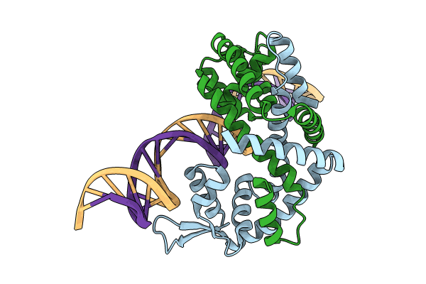 8YLI image