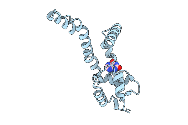 8YLL image