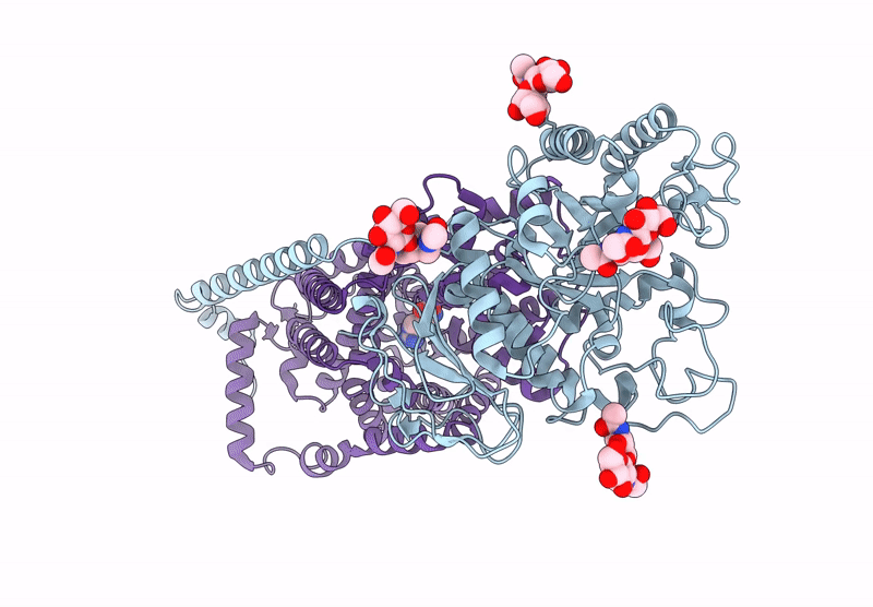 8YLP image