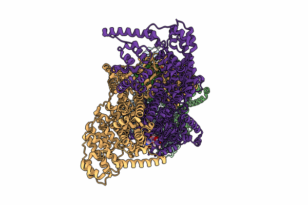 8YLT image