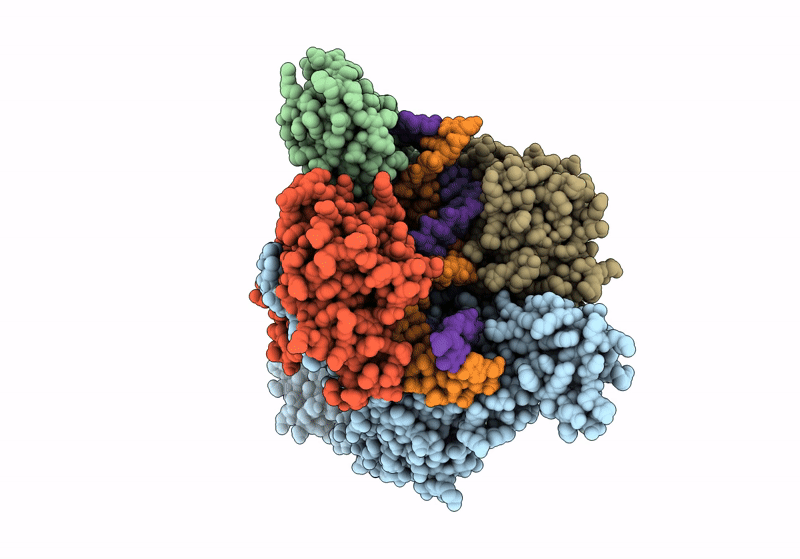 8YLU image