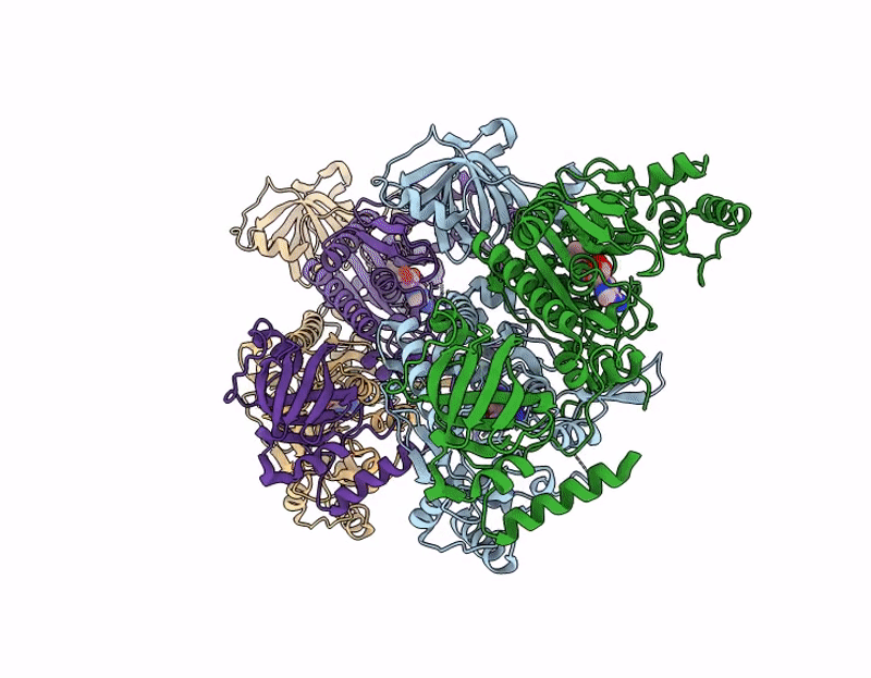 8YLW image