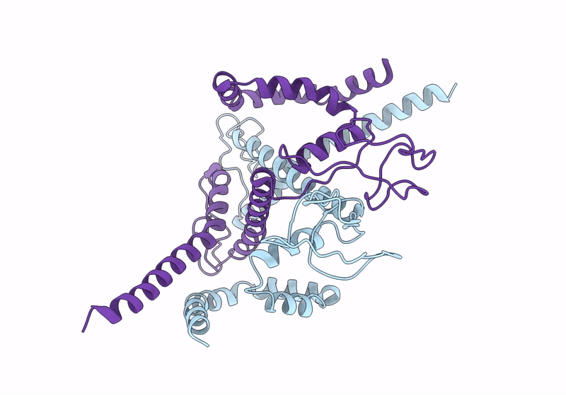 8YMK image