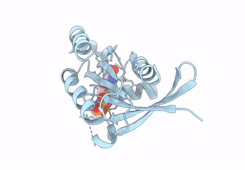 8YNR image