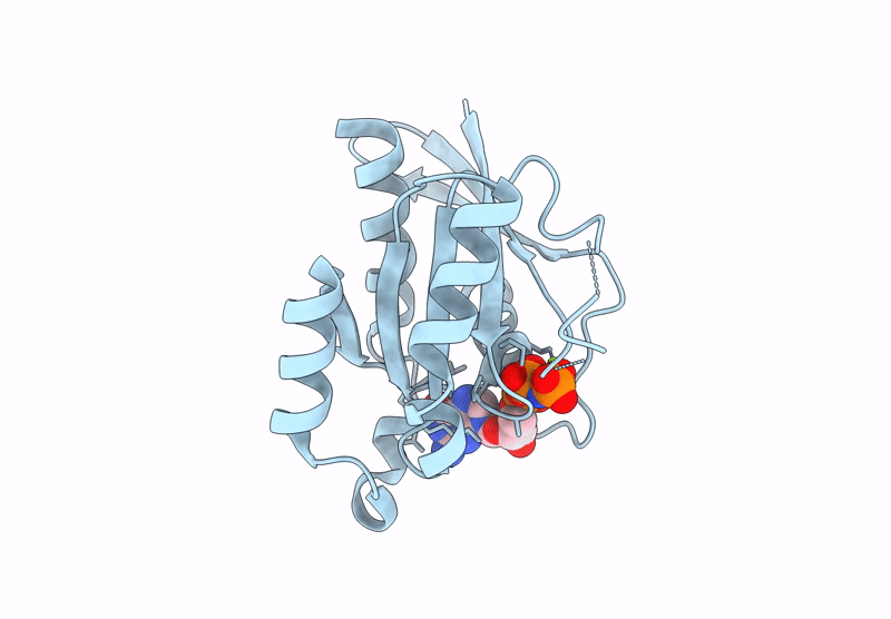 8YP0 image