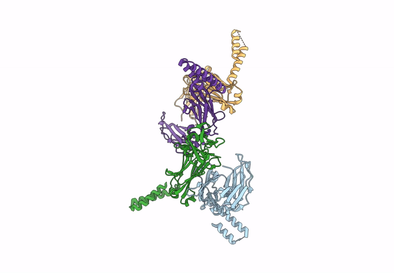 8YP1 image