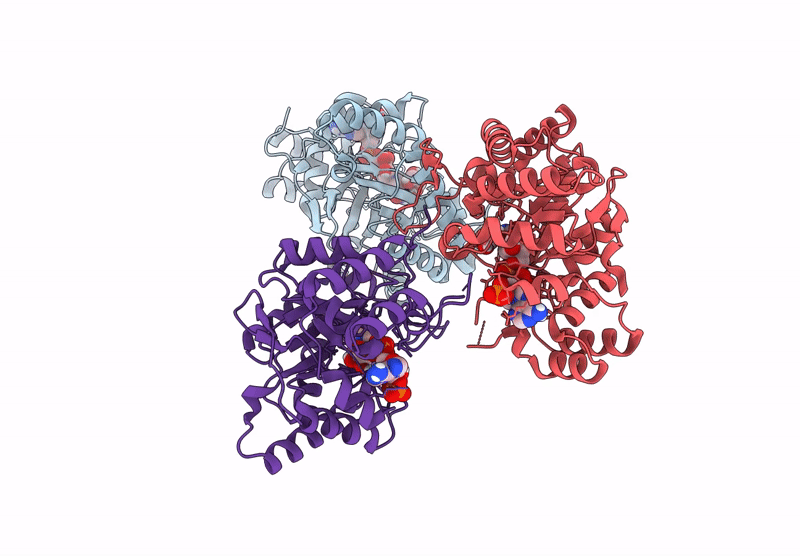 8YP2 image