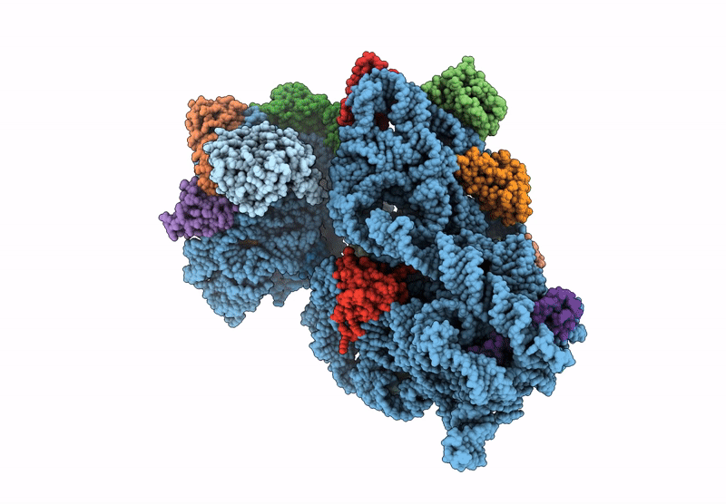 8YP6 image