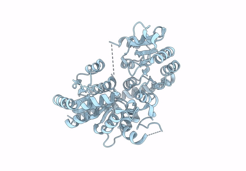 8YP7 image