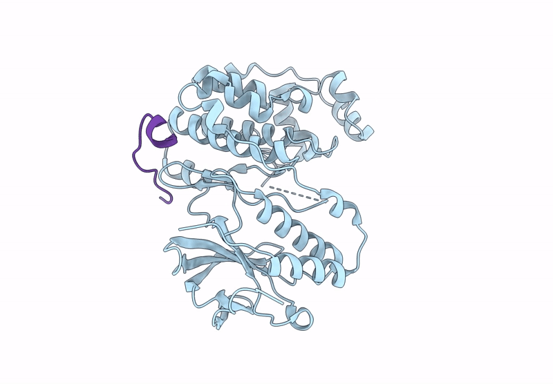 8YP8 image