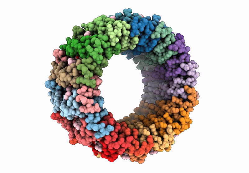 8YPB image