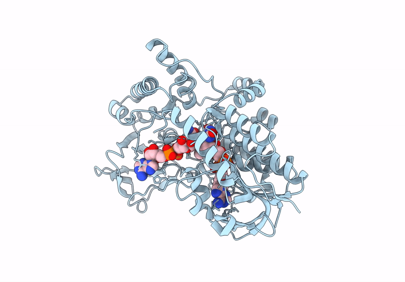 8YQ3 image