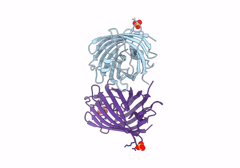 8YQ4 image