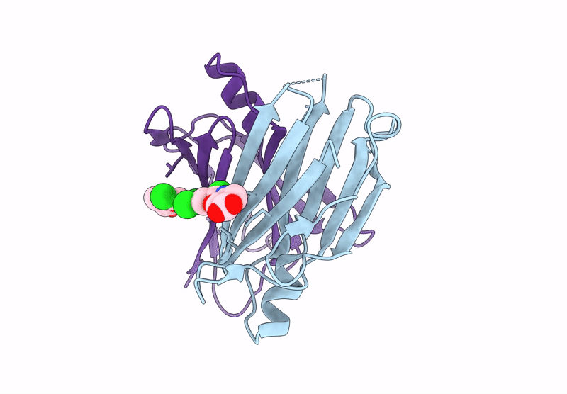 8YQD image