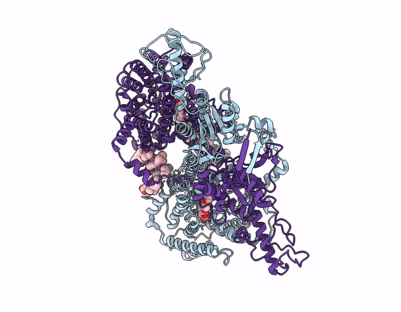 8YRA image