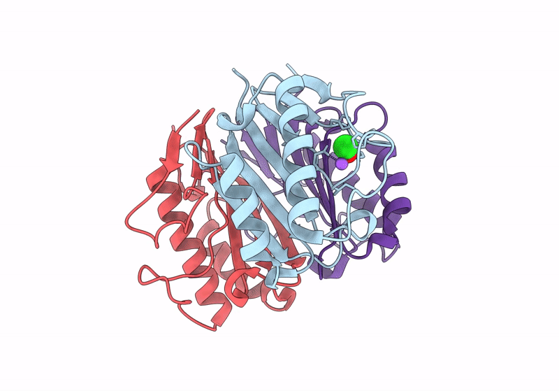 8YRC image