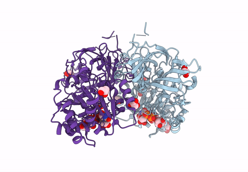 8YRL image