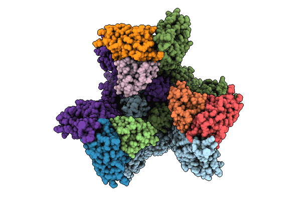 8YRO image