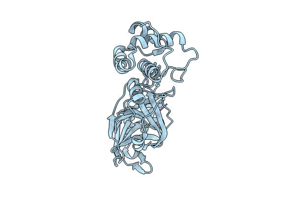 8YSA image