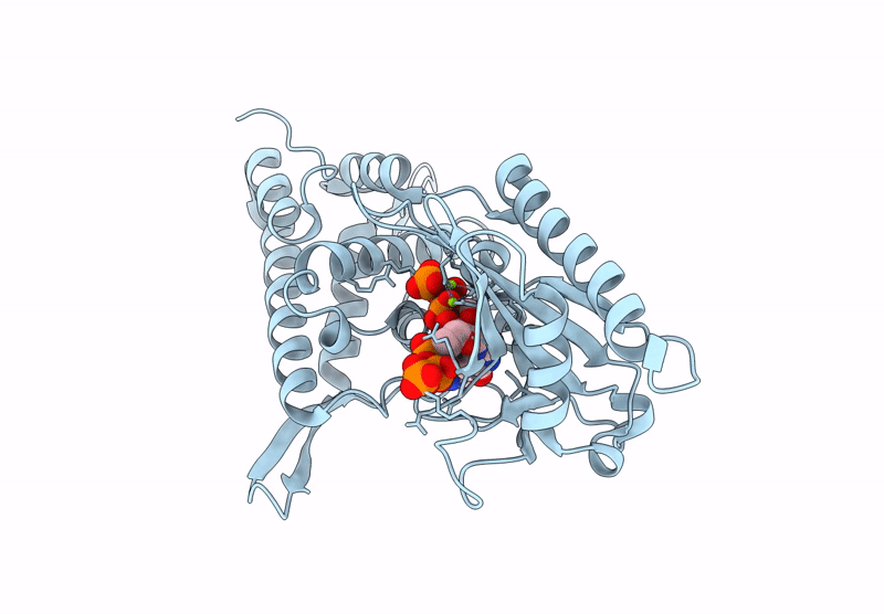 8YSL image
